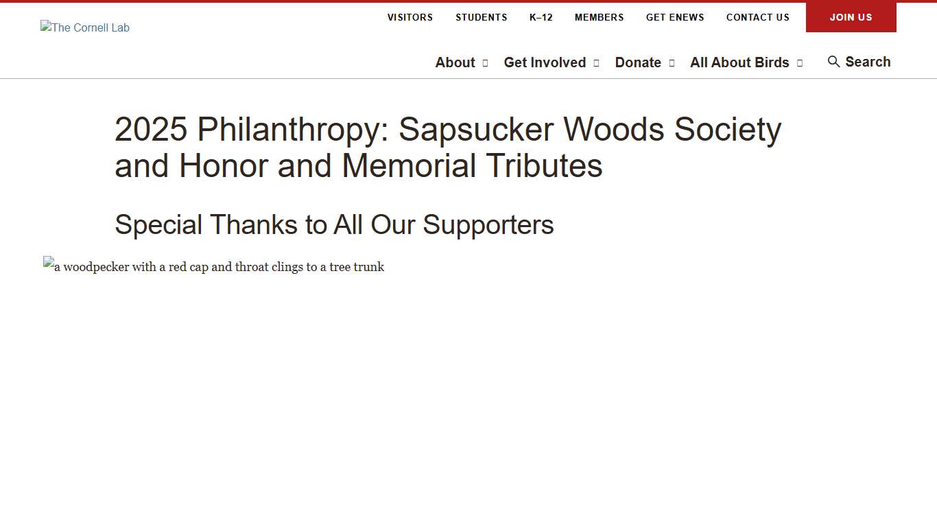 2025 Philanthropy: Sapsucker Woods Society and Honor and Memorial Tributes | Birds, Cornell Lab of Ornithology